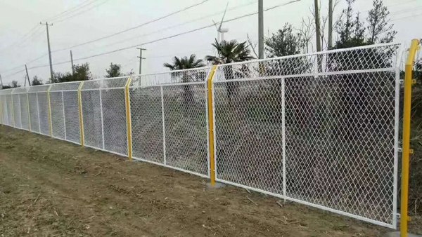 䓰�W(w��ng)�o(h��)�ھW(w��ng)�r(ji��)��