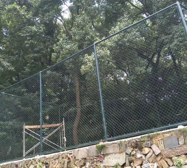 �w�����o(h��)�ھW(w��ng)