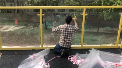 護(hù)欄網(wǎng)價(jià)格 護(hù)欄網(wǎng)價(jià)格