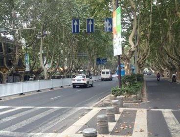 護欄網(wǎng)價格 護欄網(wǎng)價格