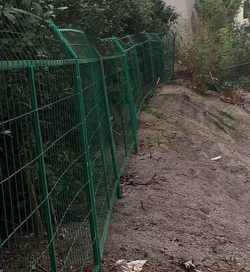 ��߅���Ͼ��o(h��)�ھW(w��ng)