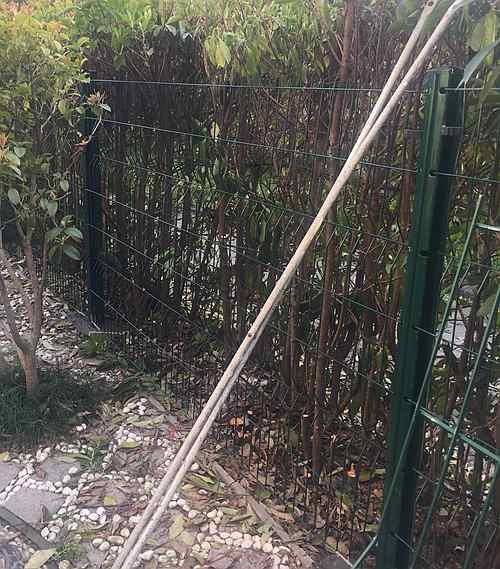 桃形柱護(hù)欄網(wǎng)價(jià)格 桃形柱護(hù)欄網(wǎng)價(jià)格